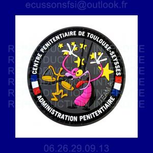 C p toulouse team a copier 