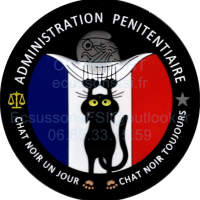 Chat noir ap ecussoncouleurspvc3d d8cm 2020 copier 