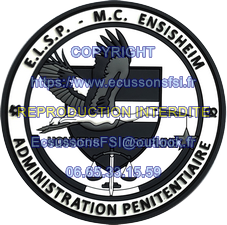 Elsp ensisheim esucconcouleurspvc d8cm 2023 fsi erc 467h 1 copier 