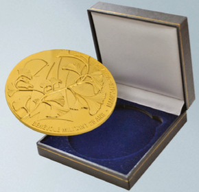 Emonsite 4