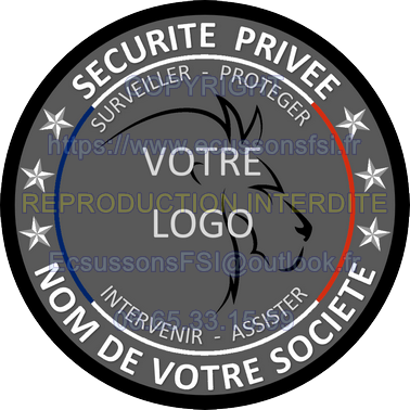 Logo fsi copier 