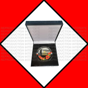 Medaille bapaume copier 