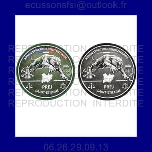 St etienne x2 copier 